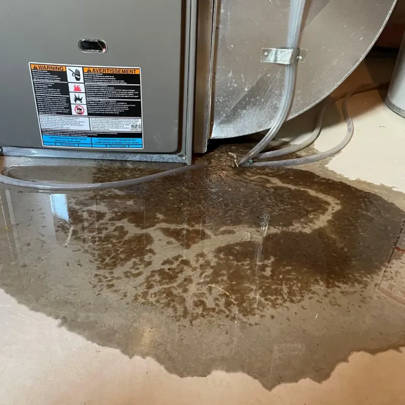 Appliance Leak Cleanup in Penn Hills, PA