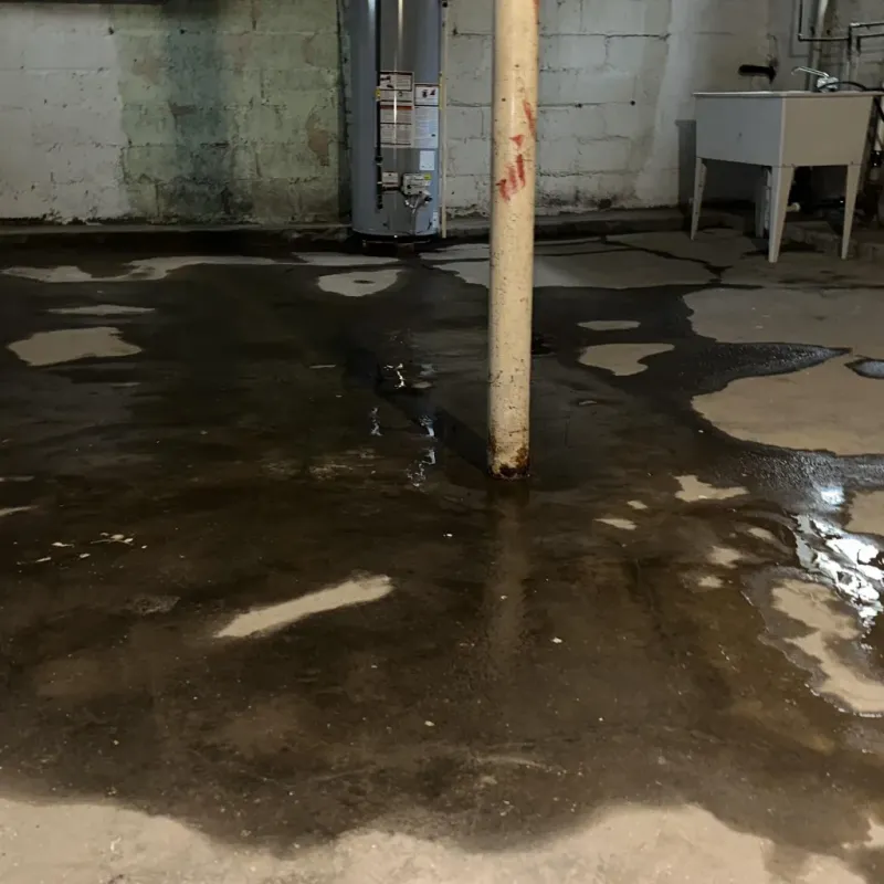 Emergency Water Extraction And Removal in Penn Hills, PA